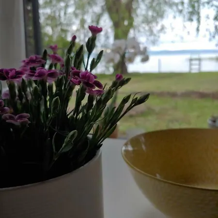 Nádas Kuckó - Vízparti Pihenő Apartman Zamárdi