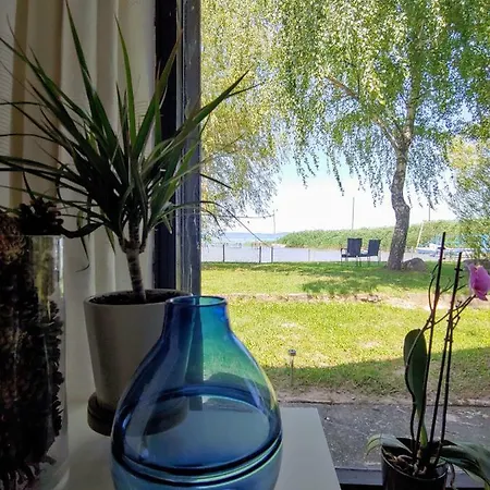 Nadas Kucko - Vizparti Piheno Zamárdi